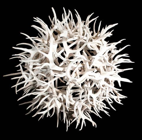 Antler Chandelier for Chef Felipe Armenta’s Tavern Restaurant in Fort Worth