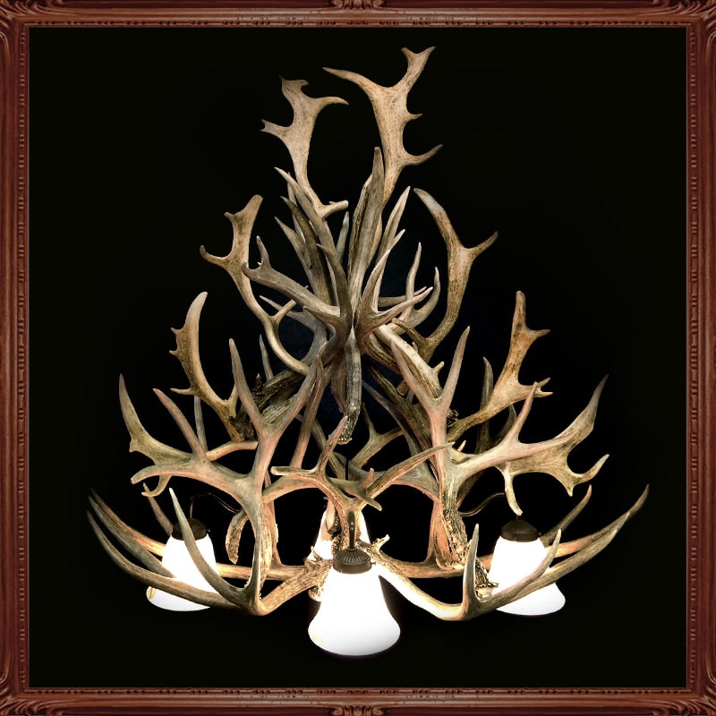 littlebighornsantlerchandeliers.com | Gallery littlebighornsantlerchandeliers.com|Gallery