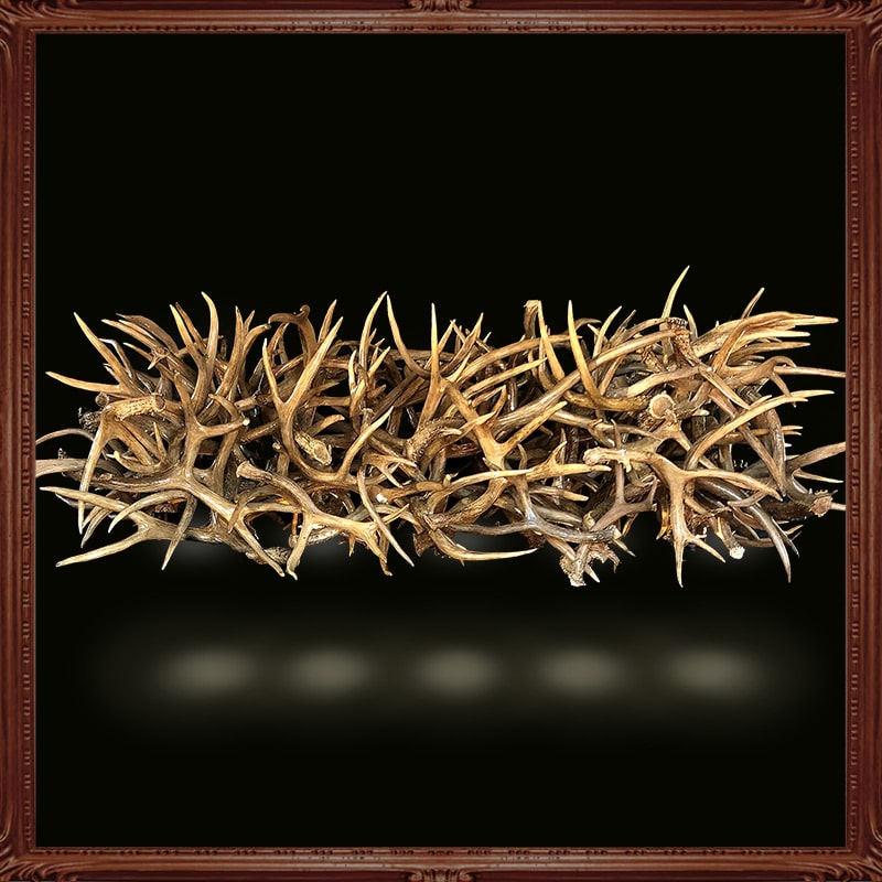 littlebighornsantlerchandeliers.com | Gallery littlebighornsantlerchandeliers.com|Gallery