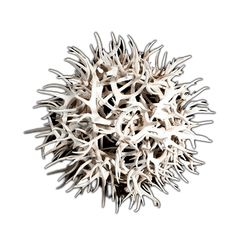 littlebighornsantlerchandeliers.com | Sculptures Exotic Antler Sphere