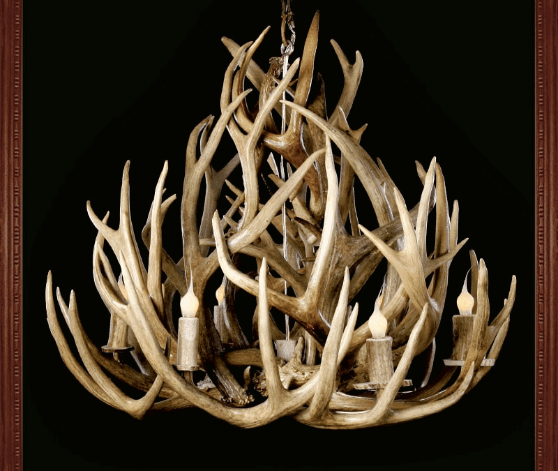 Antler Chandelier